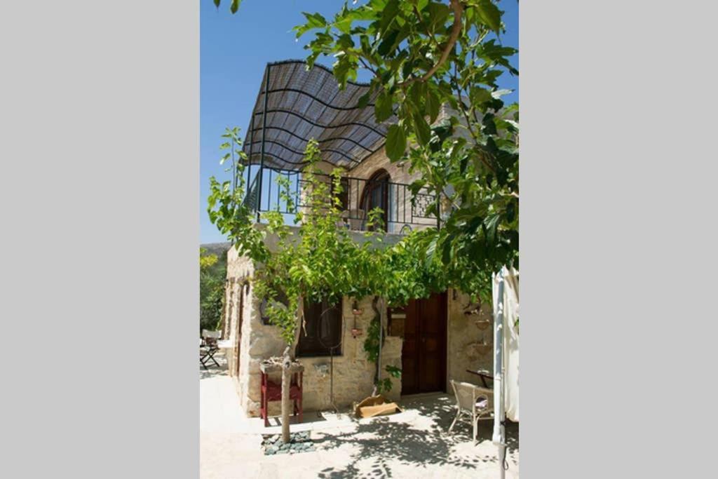 Villa Petite Olive House Sitía Exterior foto
